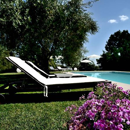 Agriturismo Al Colle Bertinoro Exteriör bild