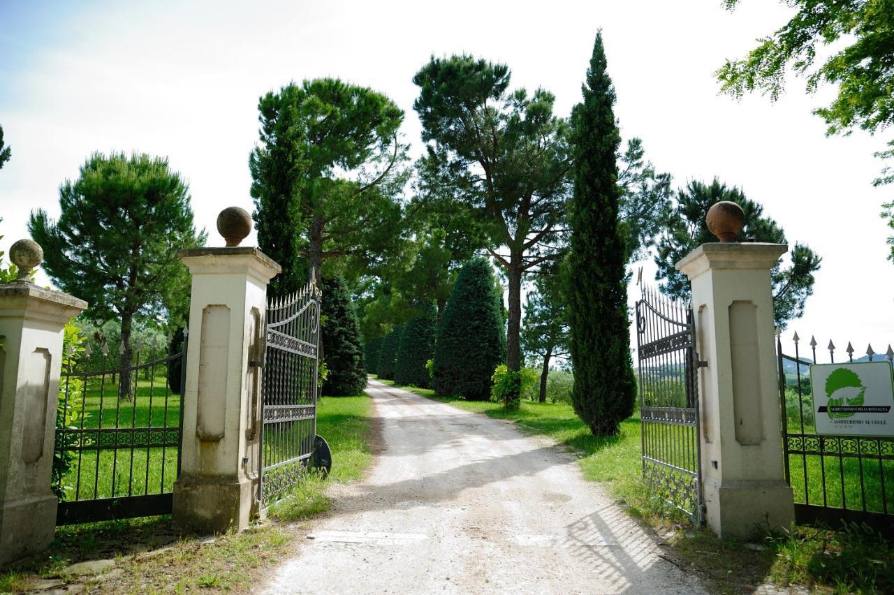 Agriturismo Al Colle Bertinoro Exteriör bild