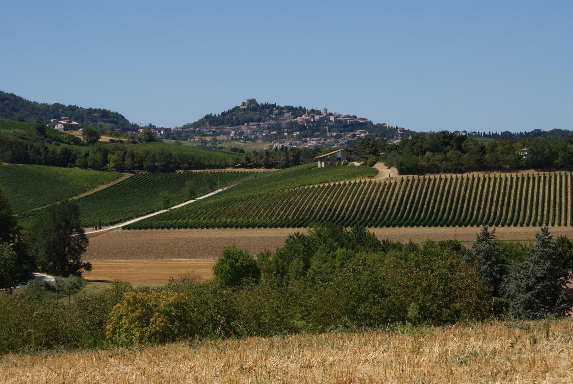 Agriturismo Al Colle Bertinoro Exteriör bild